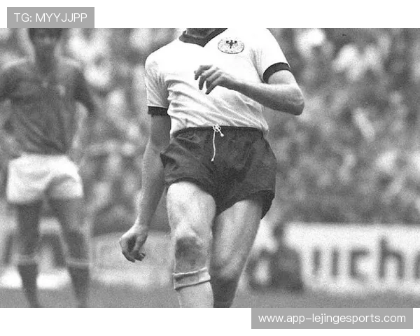 足球博士球星：揭秘绿茵场上的智慧与技术 如何成就他独特的球场魅力